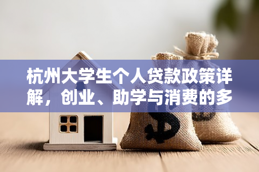 杭州大学生个人贷款政策详解,创业、助学与消费的多维支持指南