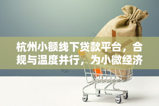 杭州小额线下贷款平台,合规与温度并行,为小微经济注入活水