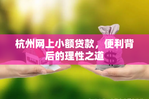 杭州网上小额贷款,便利背后的理性之道