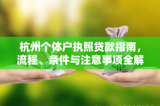 杭州个体户执照贷款指南,流程、条件与注意事项全解析