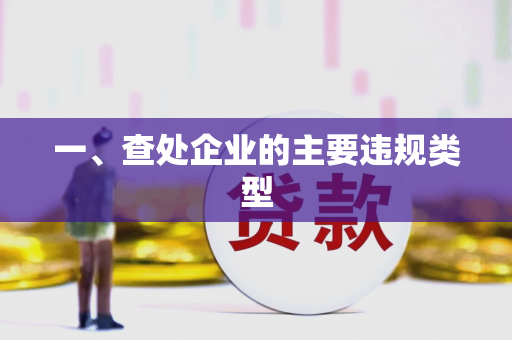 一、查处企业的主要违规类型