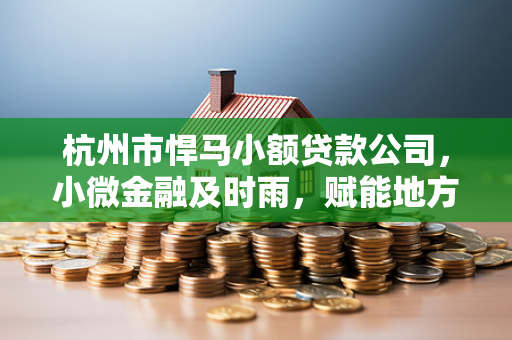 杭州市悍马小额贷款公司,小微金融及时雨,赋能地方经济新动能
