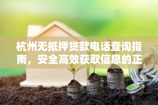 杭州无抵押贷款电话查询指南,安全高效获取信息的正确方式