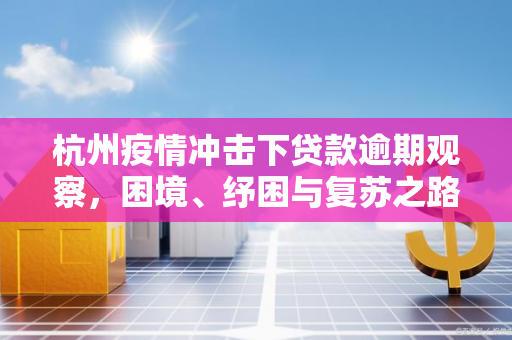 杭州疫情冲击下贷款逾期观察，困境、纾困与复苏之路
