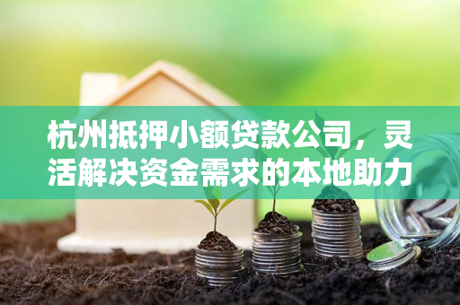 杭州抵押小额贷款公司,灵活解决资金需求的本地助力