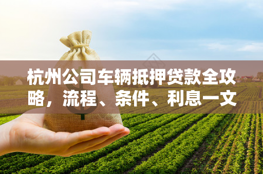 杭州公司车辆抵押贷款全攻略,流程、条件、利息一文读懂 杭州公司车辆抵押贷款全攻略,流程、条件、利息一文读懂