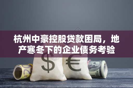 杭州中豪控股贷款困局,地产寒冬下的企业债务考验 杭州中豪控股贷款困局,地产寒冬下的企业债务考验