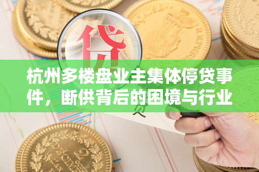 杭州多楼盘业主集体停贷事件,断供背后的困境与行业反思