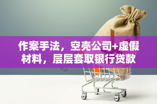 作案手法,空壳公司+虚假材料,层层套取银行贷款 作案手法,空壳公司+虚假材料,层层套取银行贷款