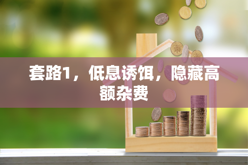 套路1,低息诱饵,隐藏高额杂费 套路1,低息诱饵,隐藏高额杂费