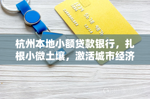 杭州本地小额贷款银行,扎根小微土壤,激活城市经济微动力 杭州本地小额贷款银行,扎根小微土壤,激活城市经济微动力