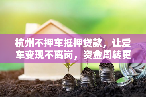 杭州不押车抵押贷款,让爱车变现不离岗,资金周转更省心 杭州不押车抵押贷款,让爱车变现不离岗,资金周转更省心
