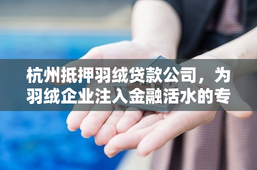 杭州抵押羽绒贷款公司,为羽绒企业注入金融活水的专业力量 杭州抵押羽绒贷款公司,为羽绒企业注入金融活水的专业力量