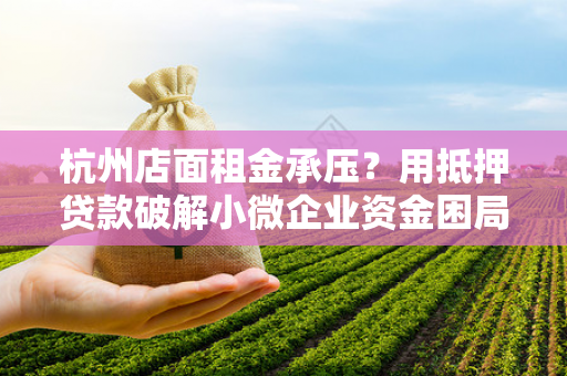 杭州店面租金承压?用抵押贷款破解小微企业资金困局 杭州店面租金承压?用抵押贷款破解小微企业资金困局