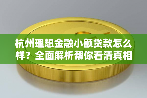 杭州理想金融小额贷款怎么样?全面解析帮你看清真相 杭州理想金融小额贷款怎么样?全面解析帮你看清真相
