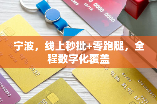 宁波,线上秒批+零跑腿,全程数字化覆盖