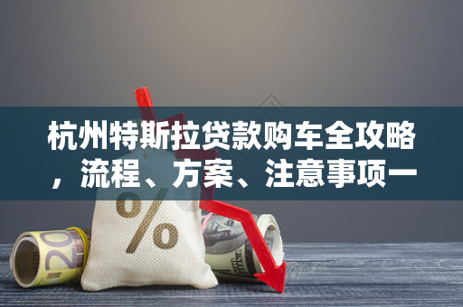 杭州特斯拉贷款购车全攻略,流程、方案、注意事项一文读懂