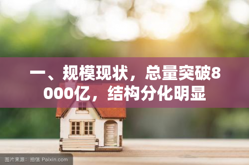 一、规模现状,总量突破8000亿,结构分化明显 一、规模现状,总量突破8000亿,结构分化明显