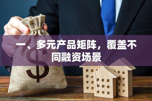 一、多元产品矩阵,覆盖不同融资场景 一、多元产品矩阵,覆盖不同融资场景