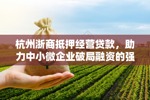 杭州浙商抵押经营贷款,助力中小微企业破局融资的强心剂 杭州浙商抵押经营贷款,助力中小微企业破局融资的强心剂