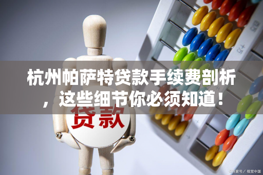 杭州帕萨特贷款手续费剖析，这些细节你必须知道！