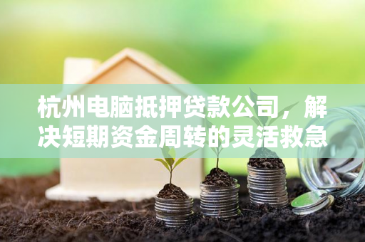 杭州电脑抵押贷款公司,解决短期资金周转的灵活救急方案 杭州电脑抵押贷款公司,解决短期资金周转的灵活救急方案