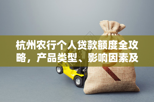 杭州农行个人贷款额度全攻略,产品类型、影响因素及申请指南