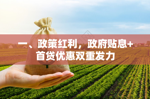 一、政策红利,政府贴息+首贷优惠双重发力 一、政策红利,政府贴息+首贷优惠双重发力